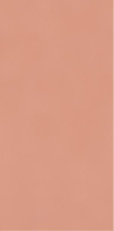 NEVE CREATIVE BLUSH SCIANA POLYSK 9,8X19,8