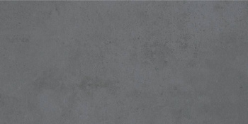 PP DIXELAND ANTRACITE 30x60 g.2 SG PRO
