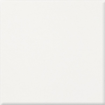 PASTEL BIAŁY 20X20