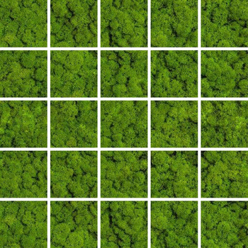 MOZAIKA GREEN MOSS 24,8x24,8 G.1 CK