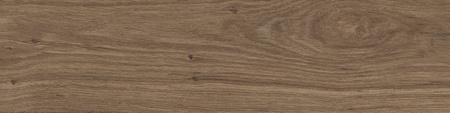 Pp DUBLIN BROWN / DUNEDIN 15,5X62 G.2 SG