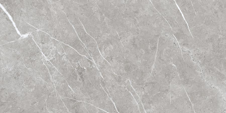 EC. THEATER PEARL 60x120 SATYNA G1 EC