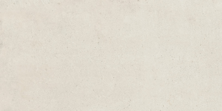MATTER WHITE RT 30X60