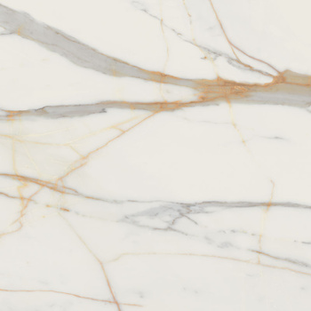 MARMO D'ORO POL 79,8X79,8