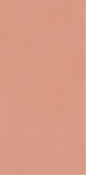 NEVE CREATIVE BLUSH SCIANA POLYSK 9,8X19,8