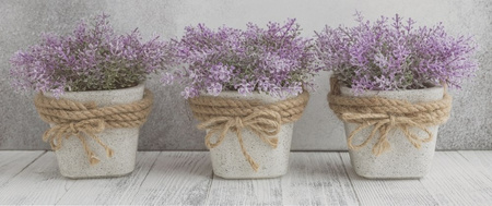 CENTRO CCR26-1 / MAX DEKOR RETT. 30x60 G.1 CC