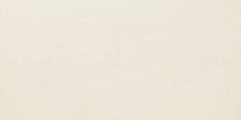 CN99 CONCEPT SUPER BIAŁY NATURA 600X300 G.2