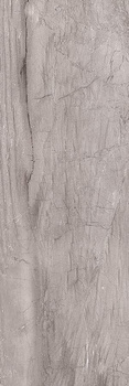 Pś TERRA GREY RETT. 25x75 g.1 CC