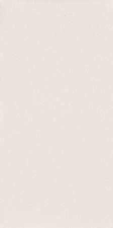 REFLECTION WHITE 59,8X29,8