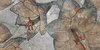 ROCK ISLAND BLUE FLOWER INSERTO 60X60