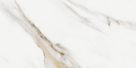 CALACATTA ORO 30X60