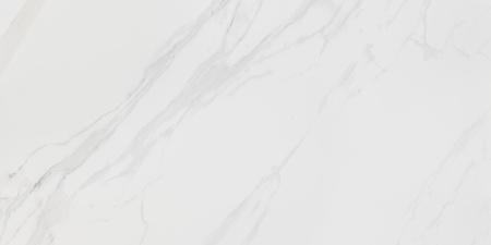 CORIENTO WHITE MAT GRS.376A.M 120X60