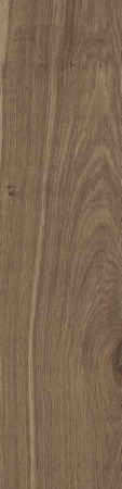 DUBLIN BROWN 15,5X62