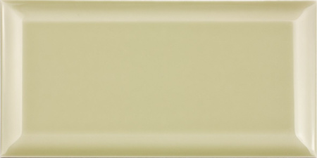 SALVIA BISELADO BX 10X20 G1 FS 17203