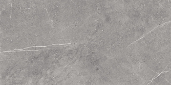 GRES VIPER GREY RECT. 1197X597 G.II