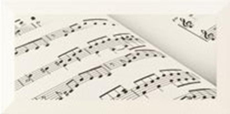 JOY 5 STR DEKOR 22,3X44,8