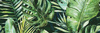 BRAGA TROPIC  C INSERTO 25X75