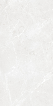 BARI GREY MATT CARVING 60X120