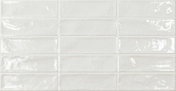 EC. POOL WHITE 31,6X60 G1 EC