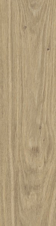 DUBLIN BEIGE GRES MAT. 15,5X62