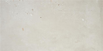 P.E. PULIDO ILLUSION GRIS 60X120 REC G1 AL wyprz.