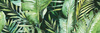 BRAGA TROPIC  B INSERTO 25X75