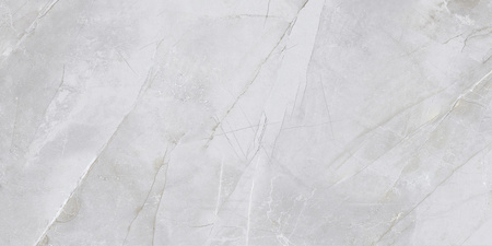 SERGIA GREY CCR69-1 30X60