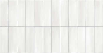 Deco Allure White 32x62,5 G1 GF