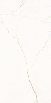 Pp HARMONY GOLD 60X120 MATT+CARVING G1.IMP1