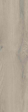 Pp TAIGA / SGR248-1 GREY 30X120 G.1 SG PROMOCJA