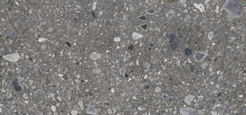 GRES CEPPO NUOVO GRAPHITE POLER 1197X597 G.2