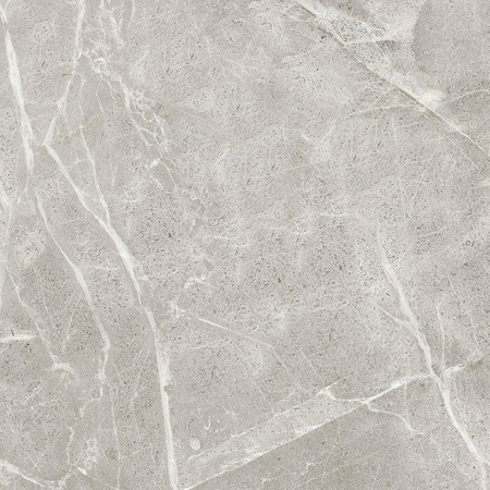 ASTON GREY POLISHED 600X600 G.1