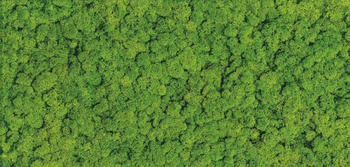 CENTRO MOSS GLASS 30x60 G.1 CC