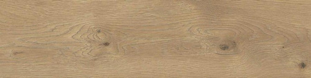 Pp TAIGA / SGR281-1 BROWN 15,5x62 G.1 SG PROMOCJA