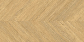 Pp SGR381-1 / LARA Rett. 60x120 g.1 SG