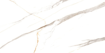 ALBATROS CARVING 600X1200 G.1