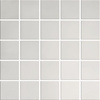 INOX GLOSSY MOSAIC 25X25