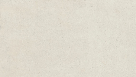 MATTER WHITE RT 30X60