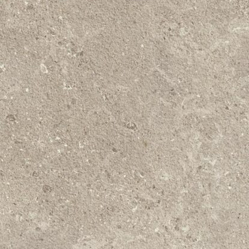 GRIS FLEURY 20 BEIGE RT 60x60