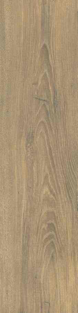 OSLO BEIGE 15,5X62