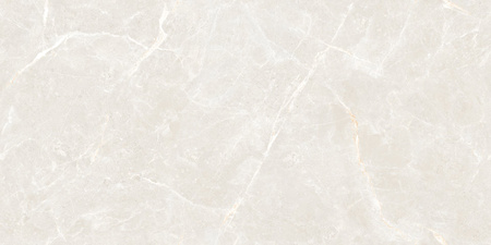 OLIVIA SILVER 60X120 POLISHED G1.MIB