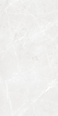 BARI GREY MATT CARVING 60X120