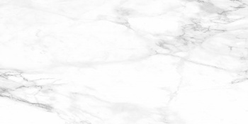 REAL 60X120 LAPPATO G1 EG