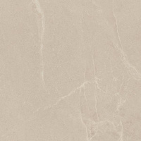 U118 BEIGE GRES SZKL. REKT. POLPOLER 59,8X59,8