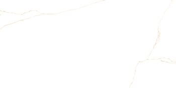 PRIS.SG. BIANCO MARE GOLD LAPP. 60X120 G1