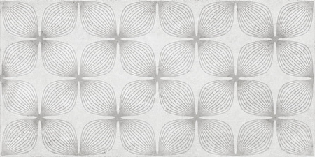 DORSA PERLA CENTRO 30X60 GAT.1