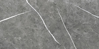 EC. THEATER GREY 60x120 SATYNA G1 EC