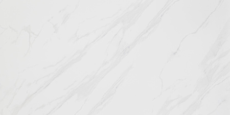 CORIENTO WHITE MAT GRS.376A.M 120X60