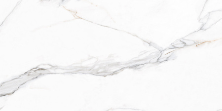 CALACUTTA BORGHINI 60X120 POLISHED G1.MIB