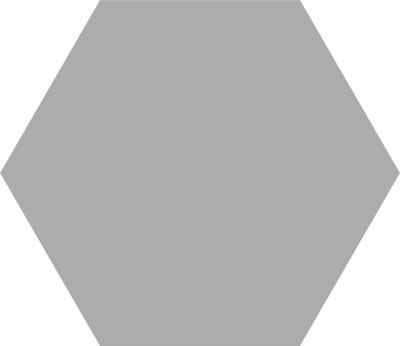 Pp HEX BASIC SILVER 25 22X25 G1 CO wyprz.